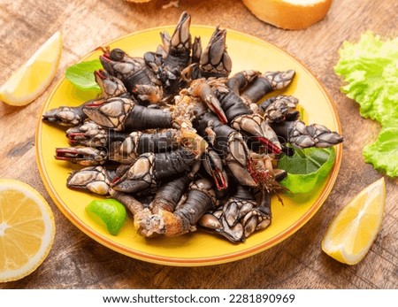 Raw goose barnacles close up on yellow plate on wooden table.  Royalty-Free Stock Photo #2281890969