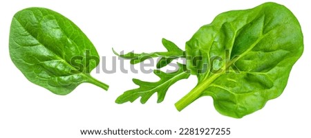 Spinach leaf with rucola  isolated on white background. Fresh baby spinach, arugula  Top view. Flat lay.  Collection