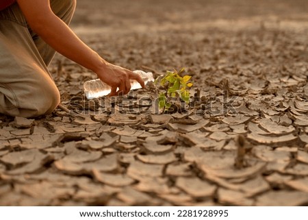 Man watering green tree after planting on dry land metaphor climate change solution, Sustainability and Save the world. Royalty-Free Stock Photo #2281928995