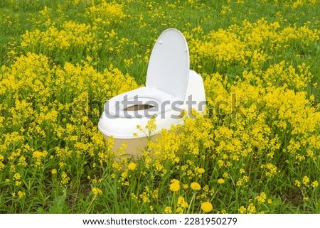 dry closet among green grass and yellow flowers, photo taken on a cloudy summer day