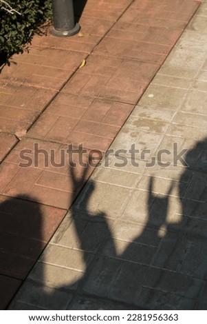 It is a wonderful shadow picture