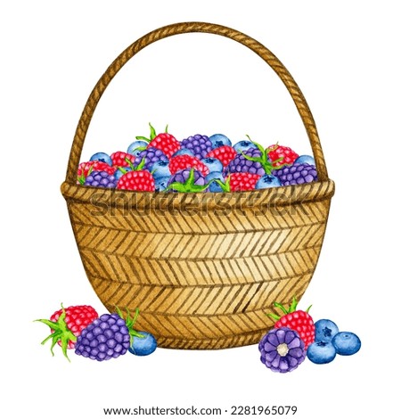 Basket with wild berries. Raspberry, blackberry, blueberry watercolor composition. Realistic clipart for packaging, postcards, menus, logos, fabric prints and more.