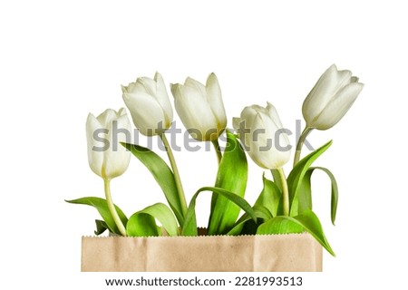 gift bouquet of white tulips on a white background