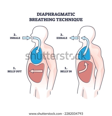 Diaphragmatic breathing technique with inhale and exhale outline diagram. Labeled educational scheme with anatomical lung and belly movement or position vector illustration. Respiratory flow practice Royalty-Free Stock Photo #2282034793