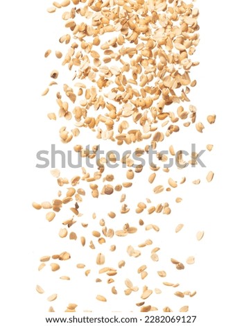 Roasted Peanut bean fall down in group, Roasted Peanut bean float explode, abstract cloud fly. Roasted Peanut beans splash throwing in Air. White background Isolated high speed shutter, freeze motion