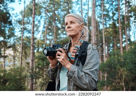 Camera, photographer and elderly woman taking pictures while hiking in a forest, calm and content. Nature, photography and senior lady enjoying retirement, relax and hobby while on vacation outdoors