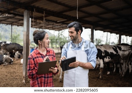 Experienced livestock veterinarian analyzing data on tablet while giving advice about nutrition to cow farm owner.