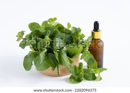 Fresh paper mint in wooden bowl beside the amble glass dropper bottle isolated on white background. Spa and cosmetic concept.
 Royalty-Free Stock Photo #2282096575