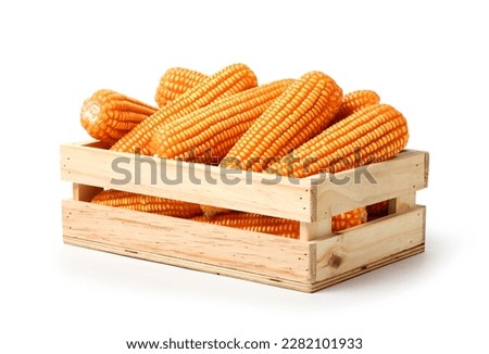 Dried corn cob in wooden crate isolated on white background. Clipping path. Royalty-Free Stock Photo #2282101933