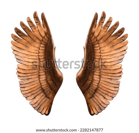 Bronze wings on a transparent background. isolated object. Element for design