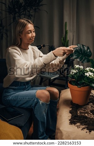 A young entrepreneur is photographing her houseplants for a blog