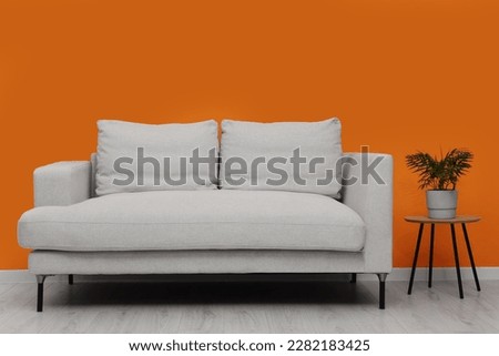 Comfortable sofa and houseplant on coffee table indoors. Interior design