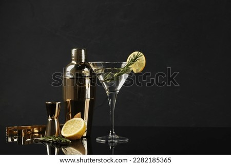 Martini cocktail with lemon slice, rosemary, shaker and fresh fruit on black background