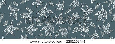 Green tea leaves. Hand drawn, vector. Royalty-Free Stock Photo #2282206441