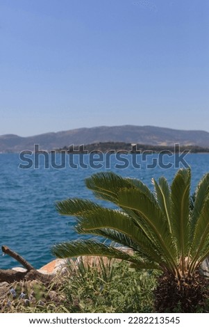 beautiful view on the sea and mountains on sunny day 