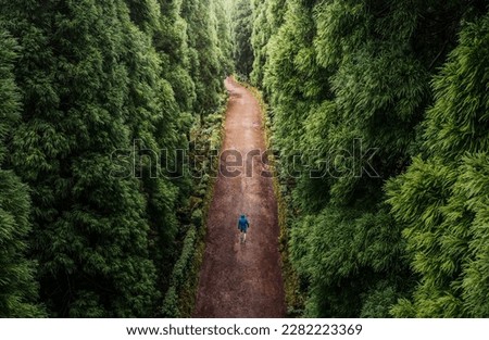 High angle view of a lonely man, walking throght the forest, on a rainy day with copy space Royalty-Free Stock Photo #2282223369