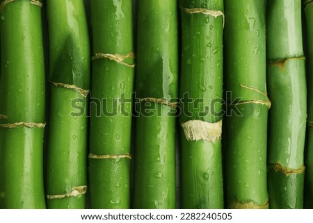 Pieces of beautiful wet green bamboo stems as background, top view Royalty-Free Stock Photo #2282240505