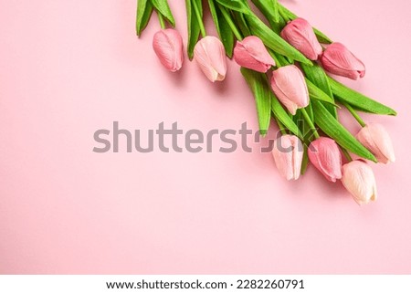 Spring tulip flowers on pastel pink background. Greeting for Womens or Mothers Day.