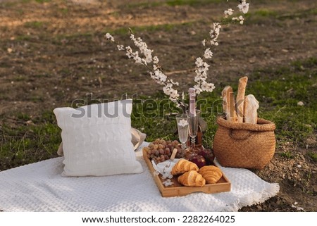 Picnic in spring under a tree in nature. A gourmet picnic in the park, laid out on a carpet around wine, cheese, fresh fruit, croissants.