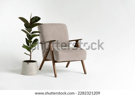 modern interior with comfortable armchair and plant on white background. Royalty-Free Stock Photo #2282321209