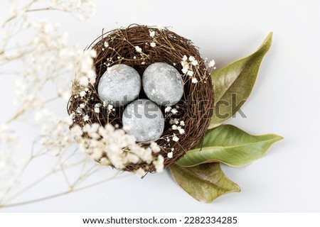 Brown nest of twigs with three gray Easter eggs, feathers, dried magnolia leaves and sprigs of gypsophila on gray background. Minimalistic Easter concept