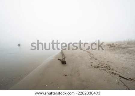 winter foggy countryside landscape inside the Veneto side of the delta of the river Po, Porto Tolle, Rovigo, Italy 