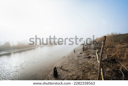 winter foggy countryside landscape inside the Veneto side of the delta of the river Po, Porto Tolle, Rovigo, Italy 