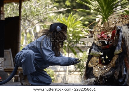 barong and monkey in a performance in bali. Barong is a panther-like creature and character in the Balinese mythology of Bali