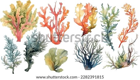 Set of vector watercolor seaweed and corals isolated on white. Sea theme, design element, decoration of water entertainment places, parks, beaches. Royalty-Free Stock Photo #2282391815