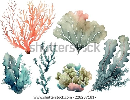 Watercolor fish. Fresh organic seafood. Nature drawing - Vector illustration. Royalty-Free Stock Photo #2282391817