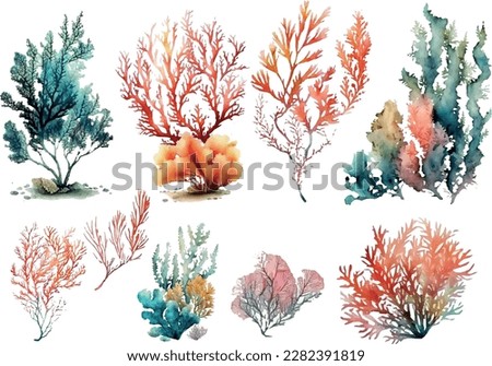 Set of vector watercolor seaweed and corals isolated on white. Sea theme, design element, decoration of water entertainment places, parks, beaches. Royalty-Free Stock Photo #2282391819