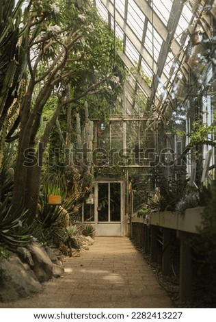 Inside of the greenhouse. Greenhouse plants Royalty-Free Stock Photo #2282413227