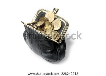 metallic ruble and black leather purse
