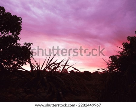 Blue sky with colorful and white clouds showing the green of the forest at dusk.