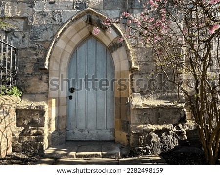 Old wooden door and cherry blossoms in York UK