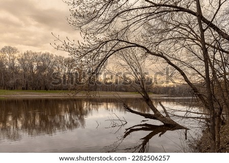 Evening or morning view of the river and trees in early spring. Spring forest at dusk on the riverbank and the reflection of trees in the water.