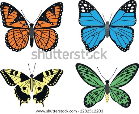 Bright types of butterflies, vector illustration