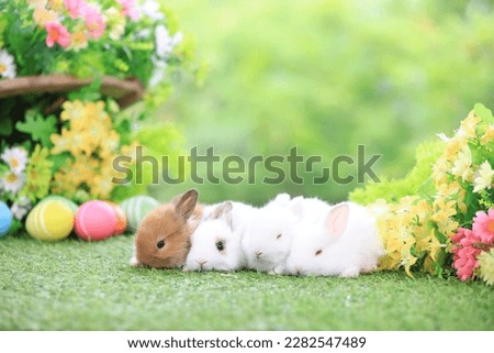 Lovely bunny easter fluffy baby rabbit eating green grass with a basket full of colorful easter eggs on green garden nature with flowers background on warmimg day. Symbol of easter day festival.