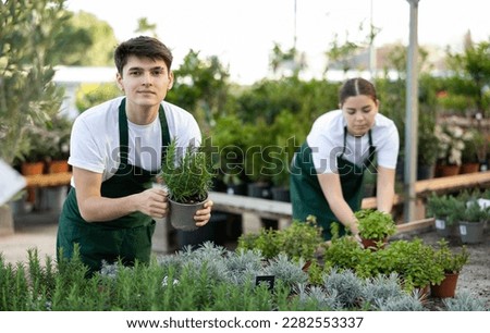 Smiling young floriculturist engaged in growing of ornamental potted plants in greenhouse, showing small bush of green fragrant rosemary Royalty-Free Stock Photo #2282553337