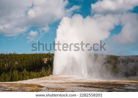 Old Faithful geyser erupting in Yellowstone National Park. Royalty-Free Stock Photo #2282558201