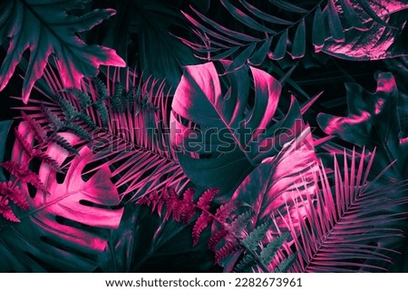 Tropical leaves in neon colors on black background Royalty-Free Stock Photo #2282673961