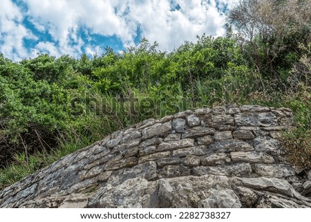 Bottom view of a cloudy blue sky and greenery growing on top of a high stone wall. Natural architectural geometric background with colorful stripes. Abstract landscape in Budva, Montenegro