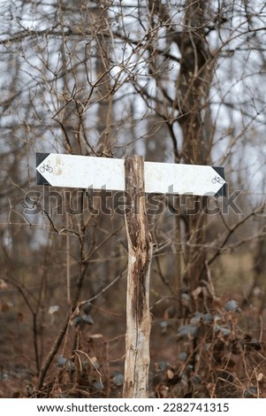 Mock-up of the wooden direction road sign arrows in the forest. 