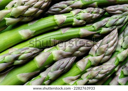 Asparagus. Fresh green asparagus background. Healthy food concept. Vegan healthy food. Asparagus pattern. Top view copy space
 Royalty-Free Stock Photo #2282763933