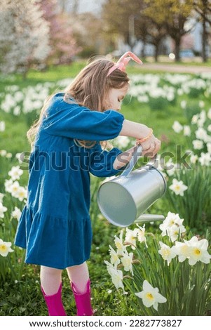 Easter. Cute little girl of 5 years old with rabbit ears is watering daffodils on the lawn. Happy child.