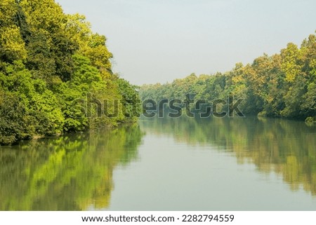 picturesque and scenic view of dense sal forest reflection in sharda or sarda river at terai arc landscape in surai eco tourism zone in pilibhit tiger reserve national park bifurcation india asia Royalty-Free Stock Photo #2282794559