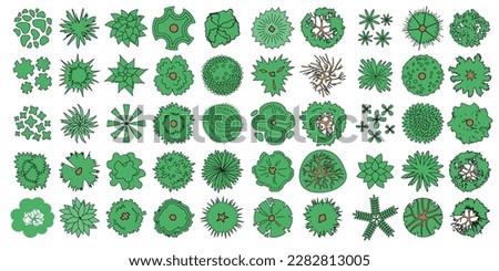 Vector set. Trees top view. Different plants and trees vector set for architectural or landscape design. (View from above) Nature green spaces. Tree set lines.
