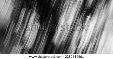 Abstract Nature Blurred dynamic motion lines defocused black white grey monochrome tropical leaves Wallpaper screensaver design background