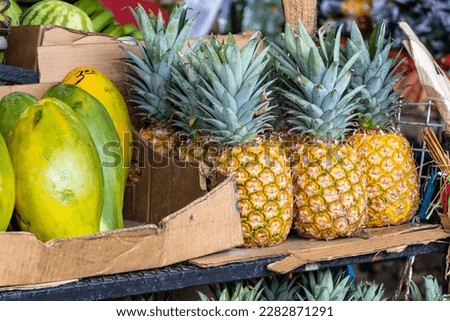 Tropical fruits for sale in a market of Panama. Pineapples, mangos, watermelons and bananas.