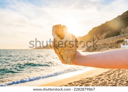 Hand of a woman holding up a large conch shell on the seashore on a beach at sunset. Summer background